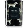 DW Home Ninety Six Black Sage & Bergamot lumânare parfumată 413 g-ro