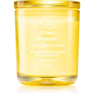 DW Home Prime Citrus Orchard lumânare parfumată 264 g-Țena