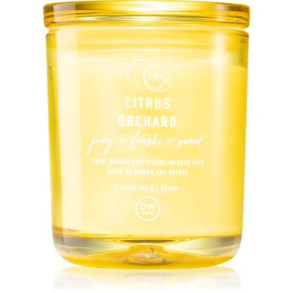 DW Home Prime Citrus Orchard lumânare parfumată 264 g-Țena