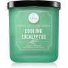 DW Home Signature Cooling Eucalyptus lumânare parfumată 269 g-ro