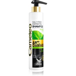 Delia Cosmetics Cameleo BB Sampon cu keratina pentru par deteriorat 250 ml-ro