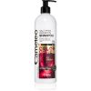 Delia Cosmetics Cameleo BB Sampon cu keratina pentru par vopsit sau suvitat 500 ml-Țena