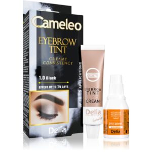 Delia Cosmetics Cameleo Vopsea crema profesionala pentru sprancene fără amoniac culoare 1.0 Black 15 ml-ro