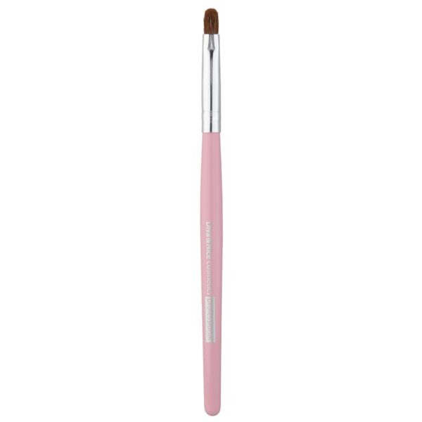 Diva & Nice Cosmetics Accessories Brush pensula pentru buze MAX 491/5 1 buc-Țena