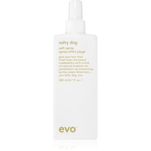 EVO Style Salty Dog spray cu sare pentru păr 200 ml-ro