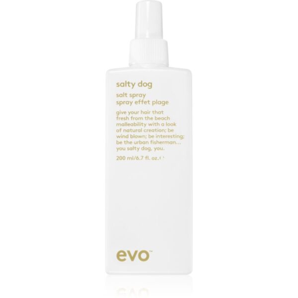 EVO Style Salty Dog spray cu sare pentru păr 200 ml-ro