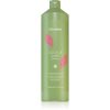 Echosline Colour Care Shampoo sampon protector pentru păr vopsit 1000 ml-ro