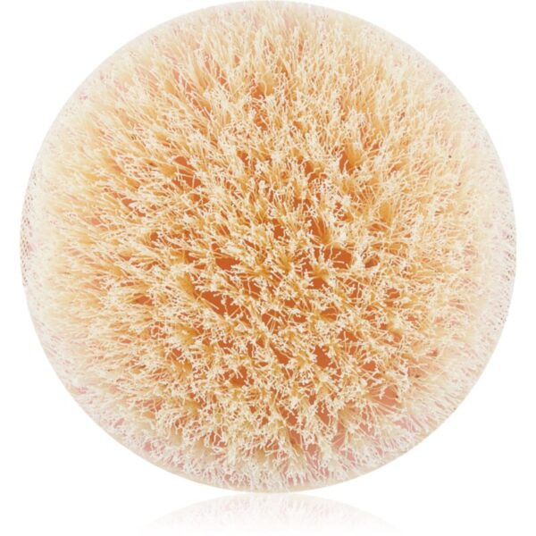 EcoTools Bath & Shower Dry Body perie cu efect de netezire 1 buc-Țena
