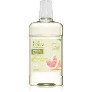 Ecodenta Refresh & Protect Propolis apă de gură cu ulei din arbore de ceai 500 ml-Țena