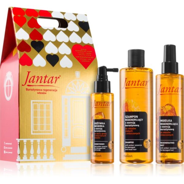 Farmona Jantar Damaged Hair set cadou pentru păr 3 buc-ro