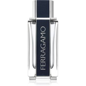 Ferragamo Ferragamo Eau de Toilette pentru bărbați 100 ml-Țena