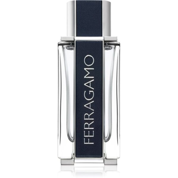 Ferragamo Ferragamo Eau de Toilette pentru bărbați 100 ml-Țena