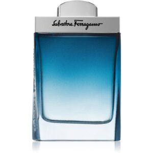 Ferragamo Subtil Pour Homme Eau de Toilette pentru bărbați 100 ml-ro
