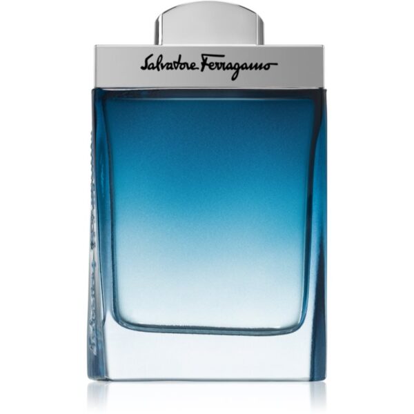 Ferragamo Subtil Pour Homme Eau de Toilette pentru bărbați 100 ml-ro