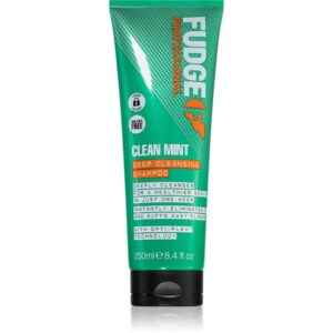 Fudge Clean Mint Shampoo șampon pentru păr gras 250 ml-ro