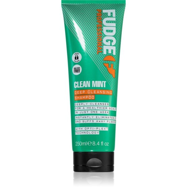 Fudge Clean Mint Shampoo șampon pentru păr gras 250 ml-ro