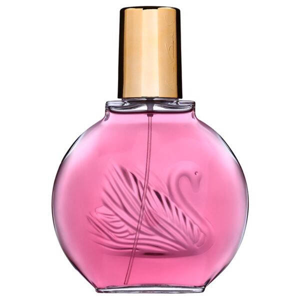 Gloria Vanderbilt Minuit New a York Eau de Parfum pentru femei 100 ml-ro