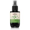 Green Pharmacy Birch Buds & Castrol Oil Care Serum ser anti matreata 100 ml-Țena