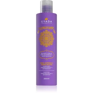 Gyada Cosmetics Hyalurvedic șampon detoxifiant pentru curățare cu acid hialuronic 200 ml-ro