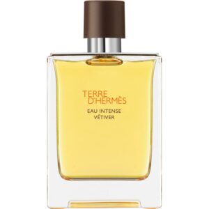 HERMÈS Terre d’Hermès Eau Intense Vétiver Eau de Parfum pentru bărbați 100 ml-ro