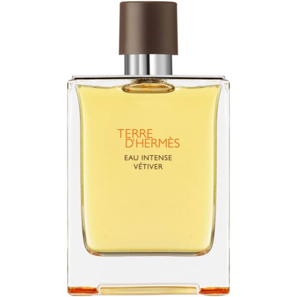 HERMÈS Terre d’Hermès Eau Intense Vétiver Eau de Parfum pentru bărbați 200 ml-ro