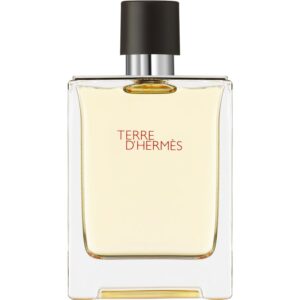 HERMÈS Terre d’Hermès Eau de Toilette pentru bărbați 100 ml-Țena