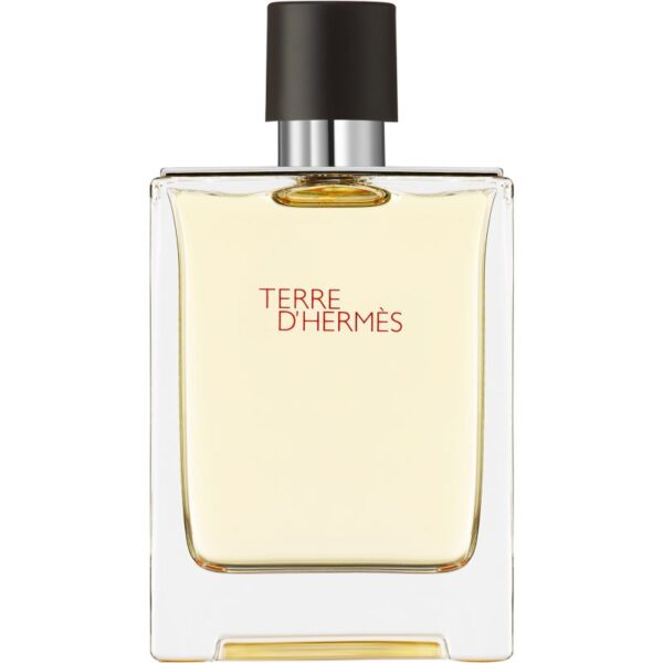 HERMÈS Terre d’Hermès Eau de Toilette pentru bărbați 100 ml-Țena