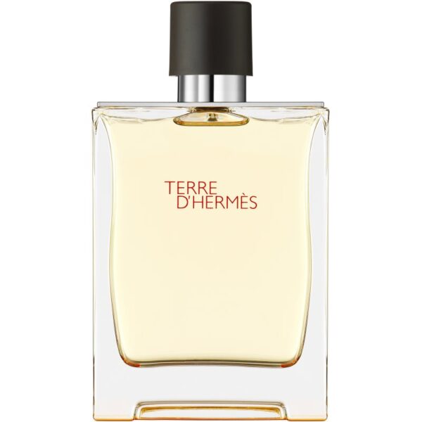 HERMÈS Terre d’Hermès Eau de Toilette pentru bărbați 200 ml-Țena