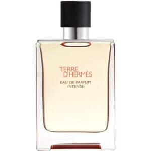 HERMÈS Terre d’Hermès Intense apă parfumată intense pentru bărbați 100 ml-Țena