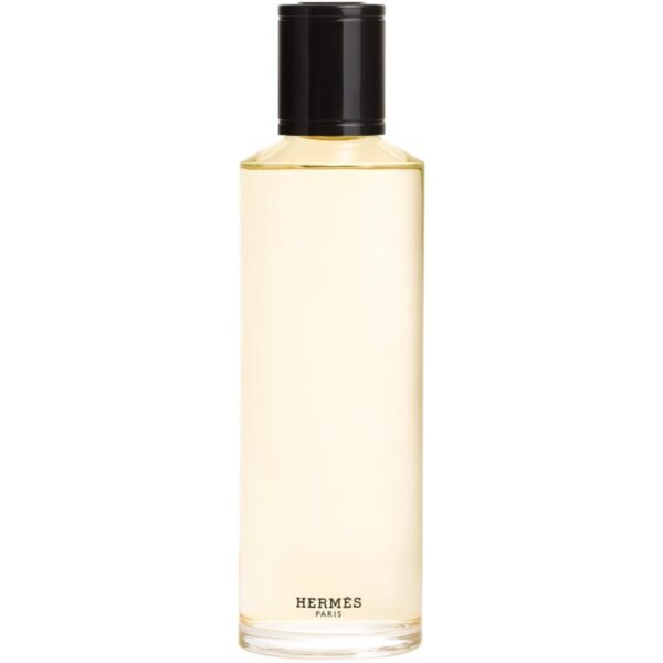 HERMÈS Terre d’Hermès apă parfumată intense rezervă pentru bărbați 200 ml-ro