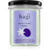 Hagi Plum Picking lumânare parfumată 215 ml-ro