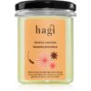 Hagi Spicy Orange lumânare parfumată 215 g-ro