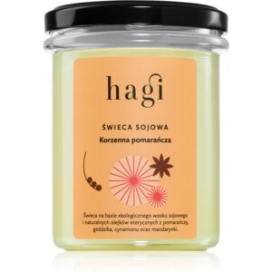 Hagi Spicy Orange lumânare parfumată 215 g-ro