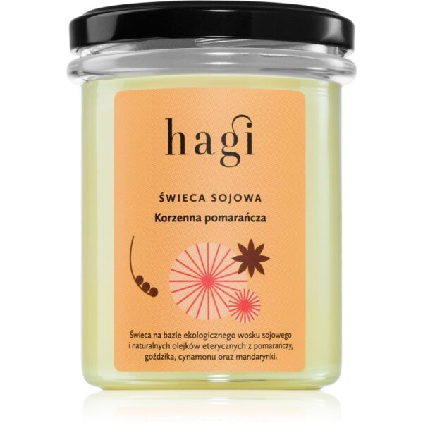 Hagi Spicy Orange lumânare parfumată 215 g-ro
