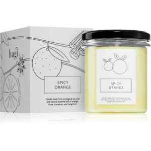 Hagi Spicy Orange lumânare parfumată 230 g-ro