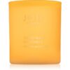 JOIK Home & Spa Grapefruit & Mandarin lumânare parfumată 150 g-Țena