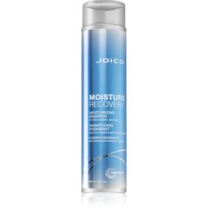 Joico Moisture Recovery sampon hidratant pentru par uscat 300 ml-Țena