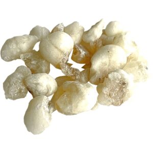 Jungle Way Oman Hojari White Royal tamaie 20 g-ro