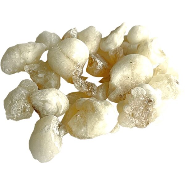 Jungle Way Oman Hojari White Royal tamaie 20 g-ro