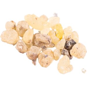 Jungle Way Oman Standard tamaie I. 20 g-Țena
