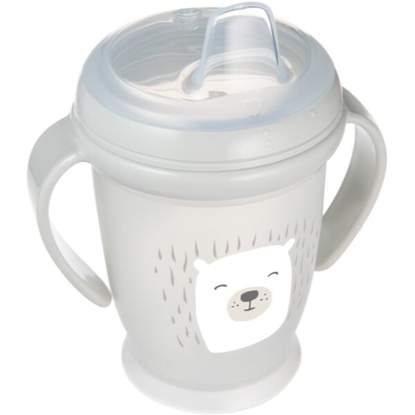 LOVI Buddy Bear ceasca 6+ m 250 ml-ro