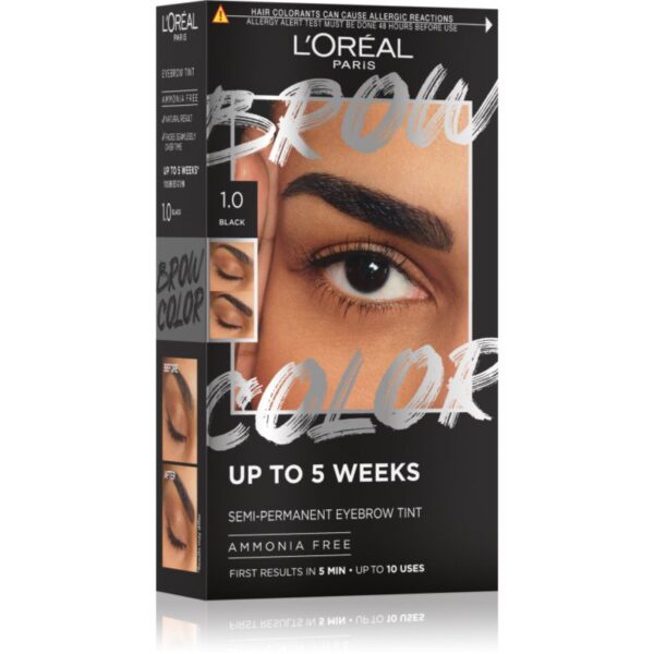 L’Oréal Paris Brow Color culoare pentru sprancene culoare 1.0 Black 1 buc-Țena