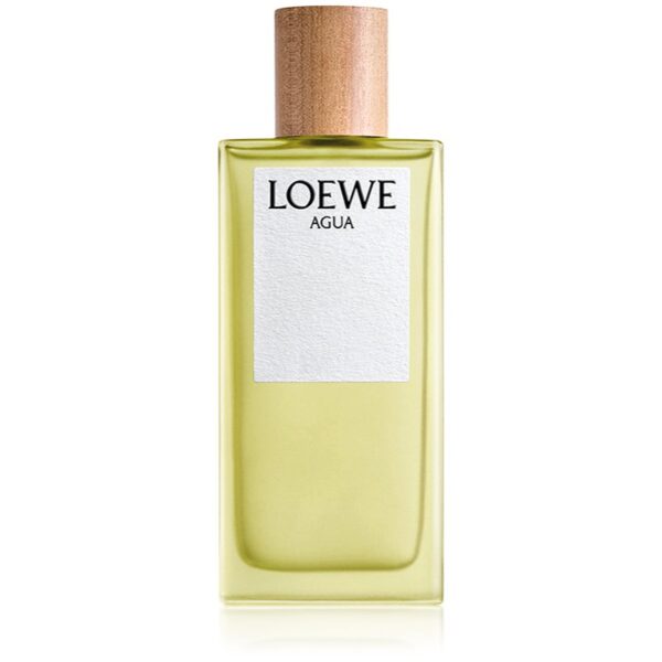 Loewe Agua Eau de Toilette unisex 100 ml-ro