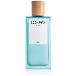 Loewe Agua Él Eau de Toilette pentru bărbați 100 ml-Țena