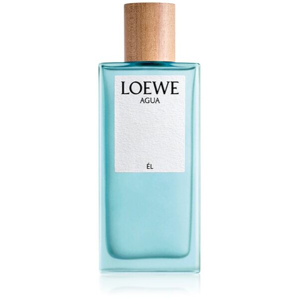 Loewe Agua Él Eau de Toilette pentru bărbați 100 ml-Țena