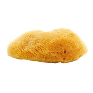 Magnum Natural Burete de mare Caraibe 10- 12 cm-ro