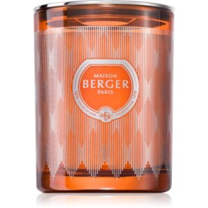 Maison Berger Paris Evanescence Mystic Leather Fawn lumânare parfumată 240 g-ro
