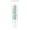 Mario Badescu Rose Lip Balm balsam de buze ultra nutritiv cu aromă de trandafiri 10 g-Țena