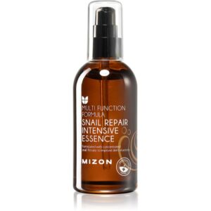 Mizon Multi Function Formula  Snail Regenerarea esenței pielii 100 ml-Țena