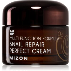 Mizon Multi Function Formula  Snail cremă pentru față cu extract de melc 60% 50 ml-Țena
